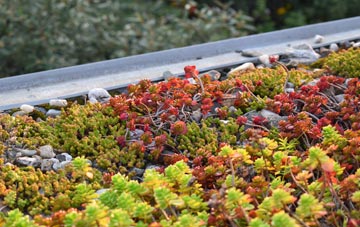 the cost of Hilfield green roof installation