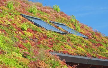 Hilfield living roof systems