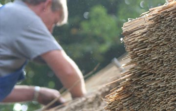 professional Hilfield thatchers